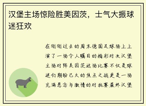 汉堡主场惊险胜美因茨，士气大振球迷狂欢