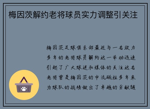 梅因茨解约老将球员实力调整引关注